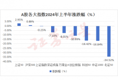 A股上半年盘点：红利蓝筹崛起，成长