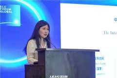 美乐家公共关系总监王婷:以“绿色